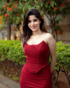 Agra escort